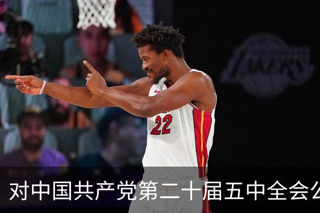 对中国共产党第二十届五中全会公报的简要分析